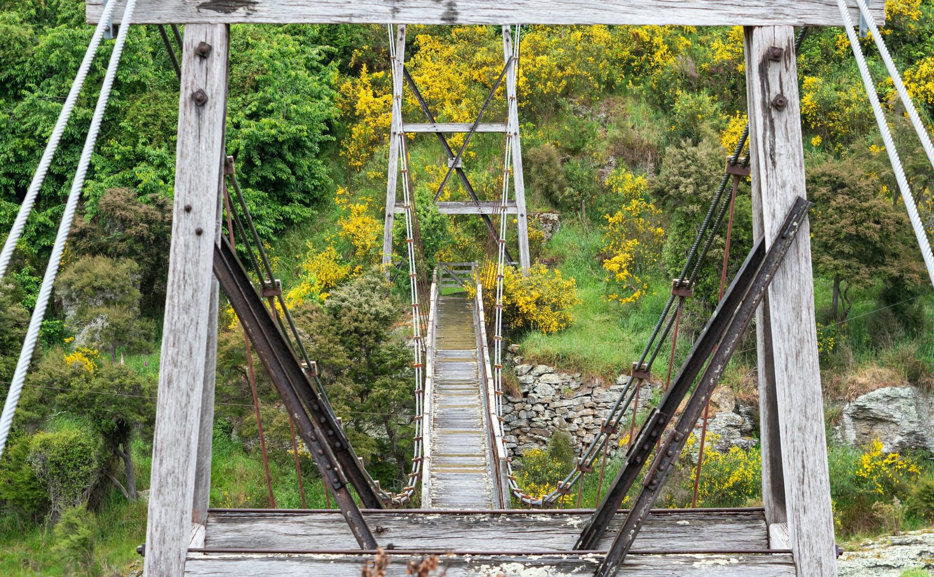 New Zealand school environment